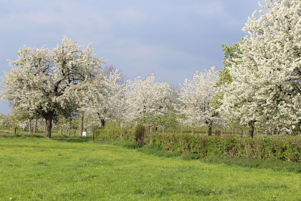 B&B De Vroling Wellen Buitenkant foto