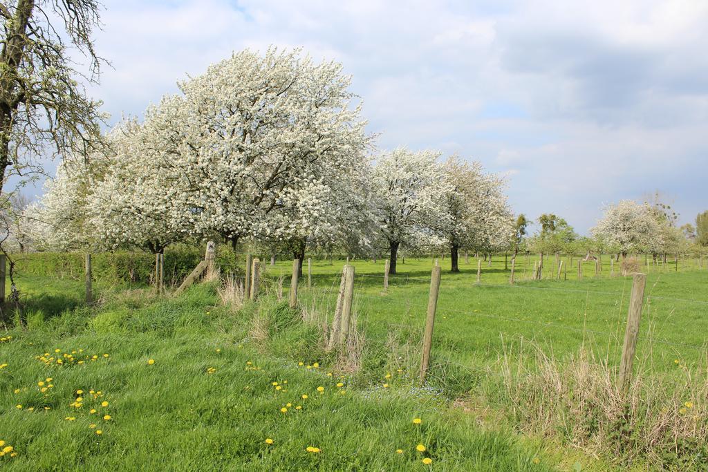 B&B De Vroling Wellen Buitenkant foto